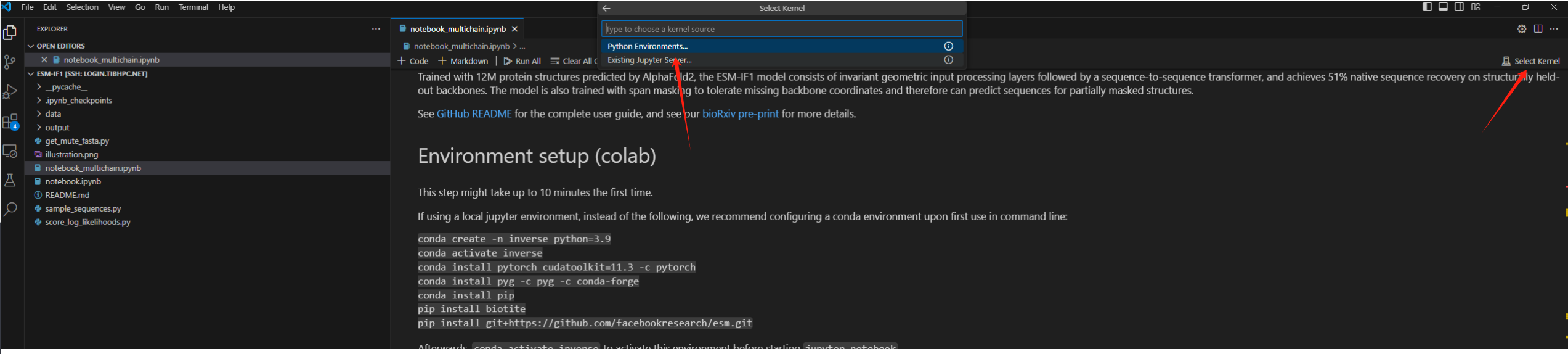 VSCode 选择运行环境示例