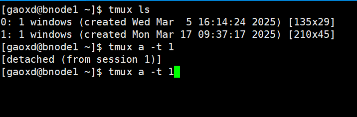 重新接入 tmux 会话