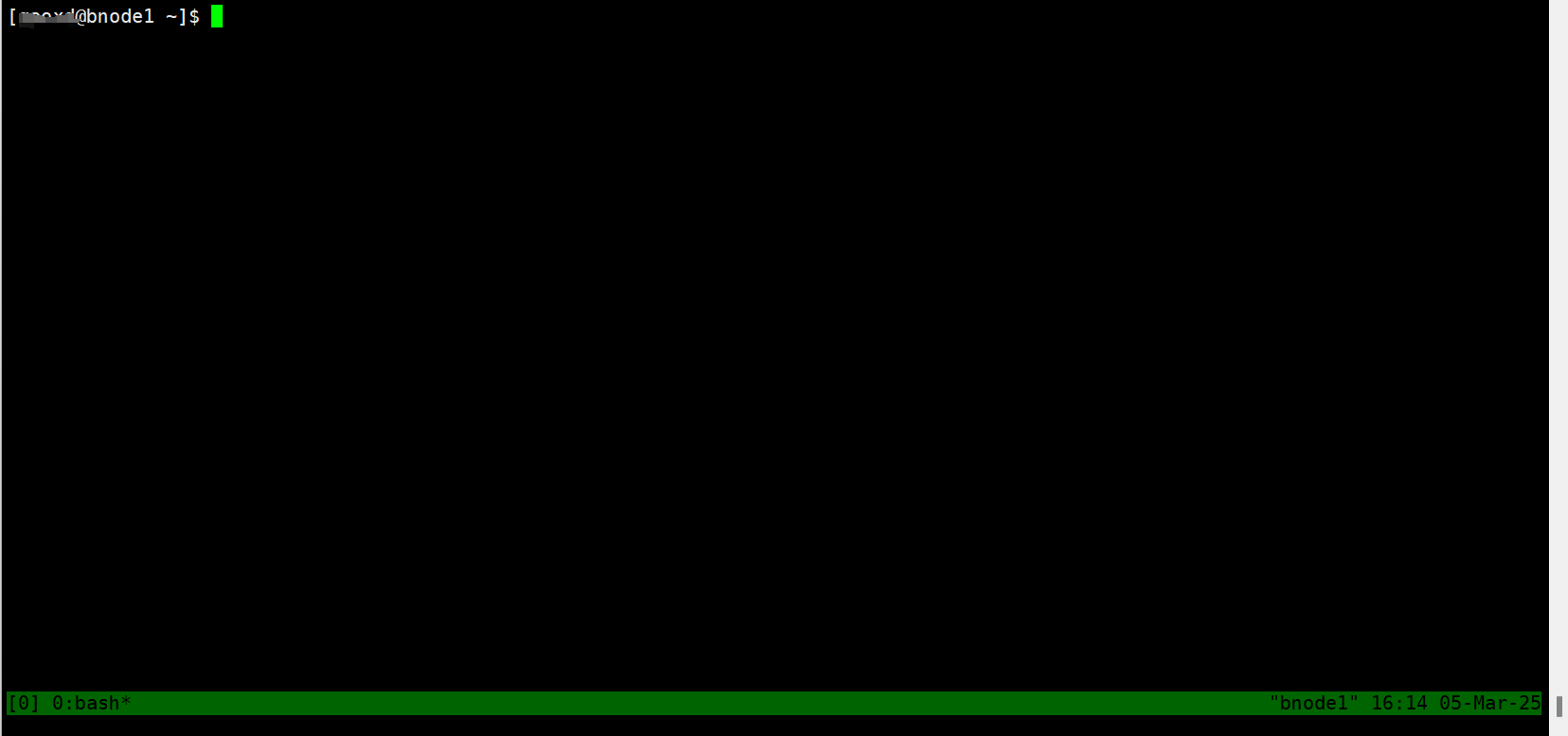 启动 tmux 后的终端界面